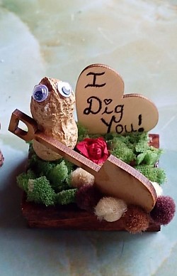 Peanut art